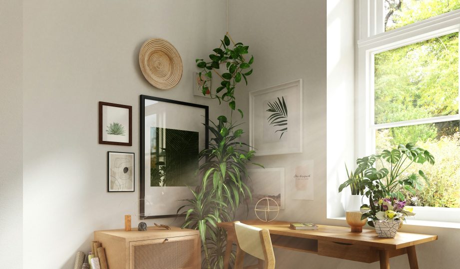 vibra nova feng shui